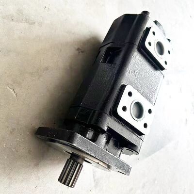 2204.010.0034 Hydraulic pump Fantuzzi Spare Parts